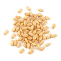 Soft White Wheat Berries 25 Pound Box J45747