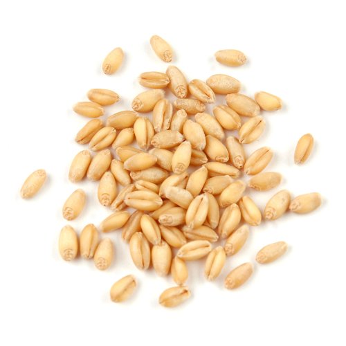 Soft White Wheat Berries 25 Pound Box J45747