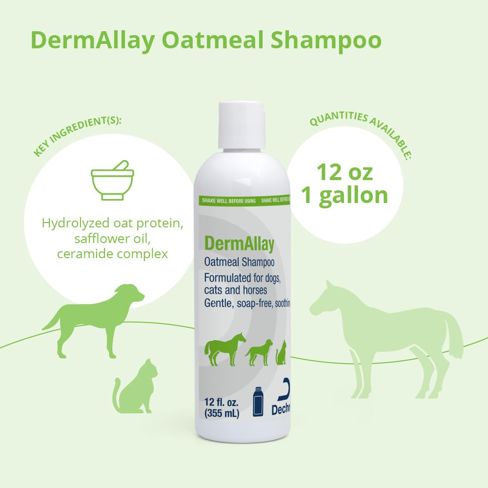 Oatmeal Shampoo for Dogs, Cats and Horses, 12 Fl Oz K511555