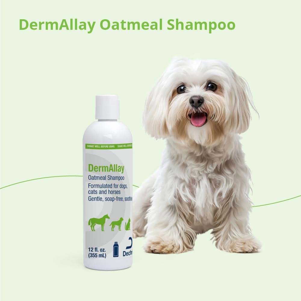 Oatmeal Shampoo for Dogs, Cats and Horses, 12 Fl Oz K511555