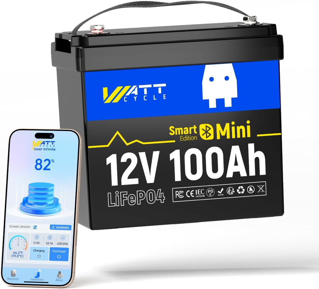 12V 100Ah Mini LiFePO4 Battery Group 24 E165724