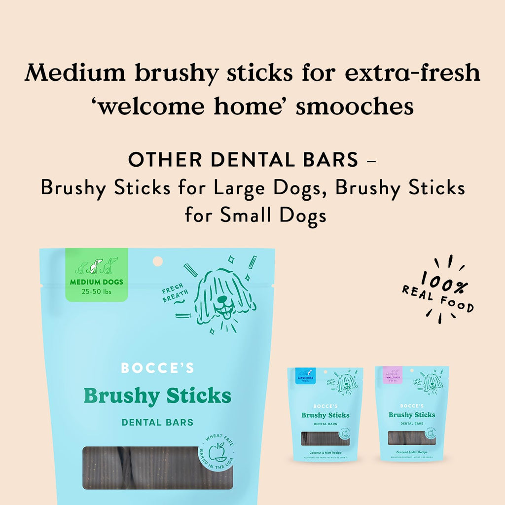 Dog Dental Treats 13 oz S90171