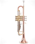 Bb Standard Brass Trumpet Set with Case, Gloves, Mouthpiece and Clean Kit Z1607