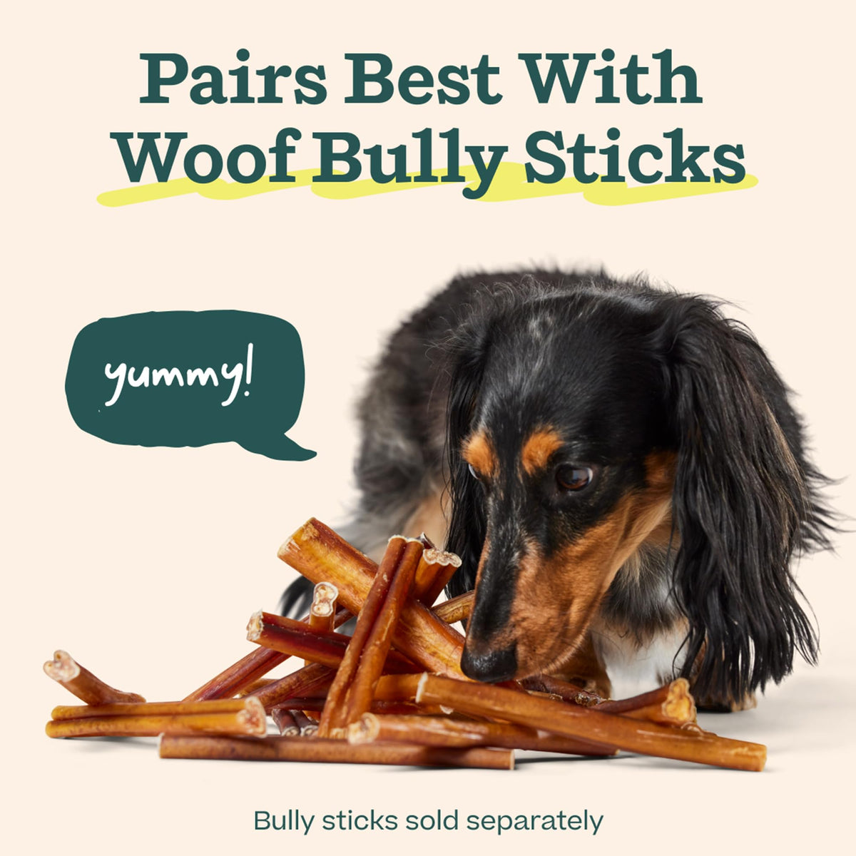 Bully Stick Holder for Dogs O60956