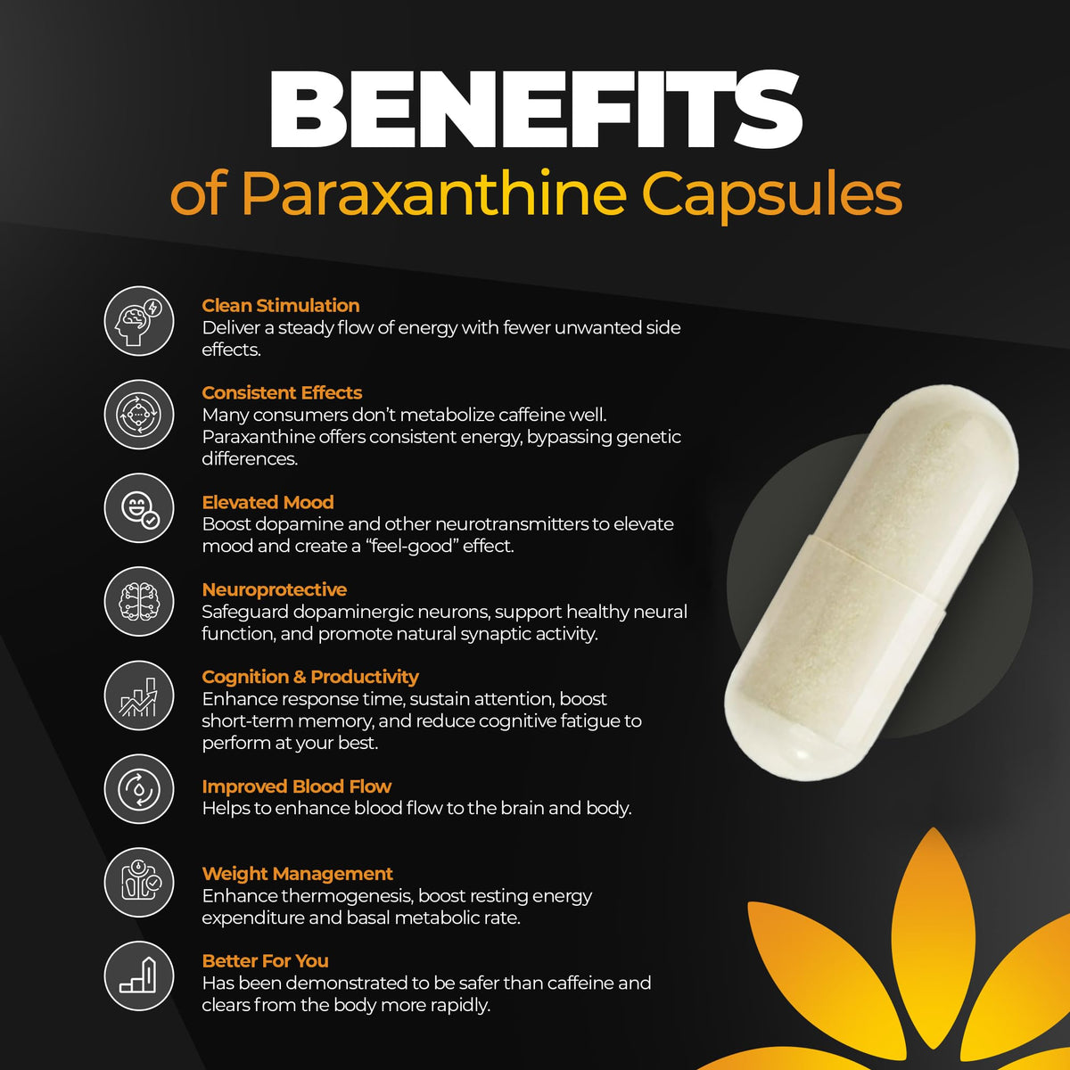 200 mg Paraxanthine Capsules O136