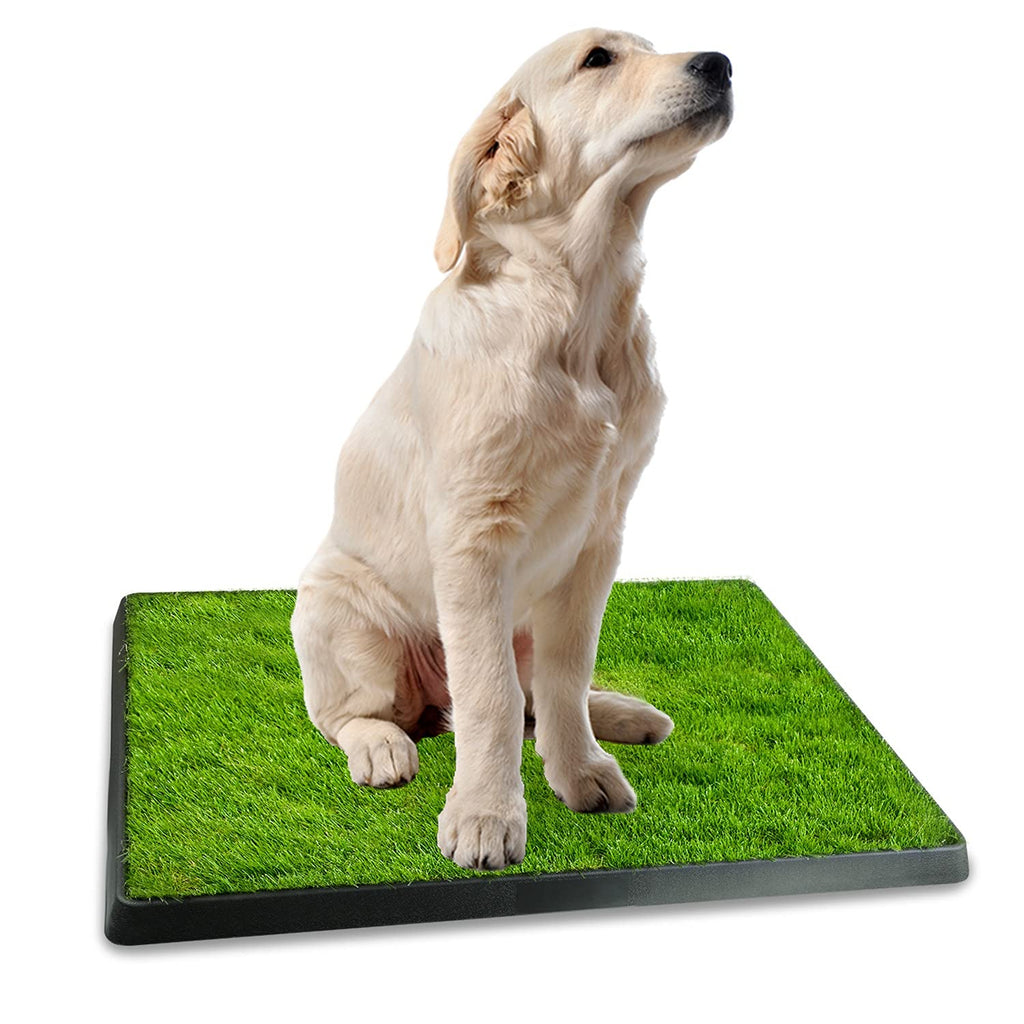 Indoor Dog Toilet with Artificial Grass 25" x 20" S543838