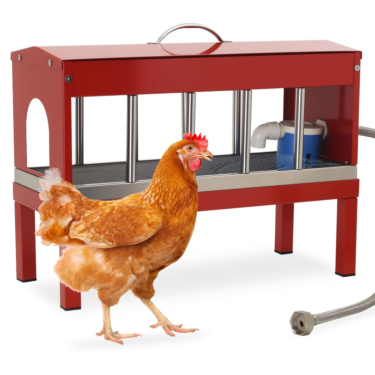 Automatic Stainless Steel Poultry Waterer Dispenser N3473