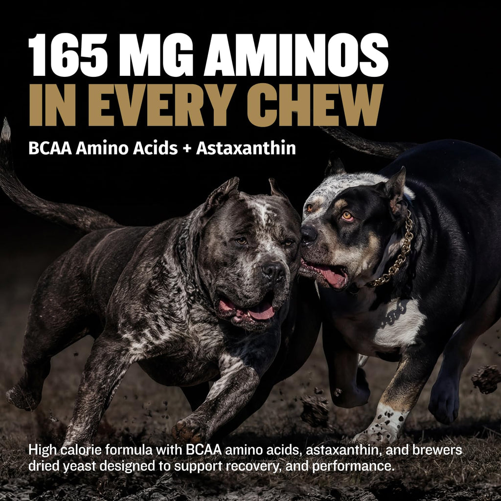 11-in-1 Dog Muscle Builder Power Chews - High Protein Supplement with Amino Acids - 75 Soft Chews H3774