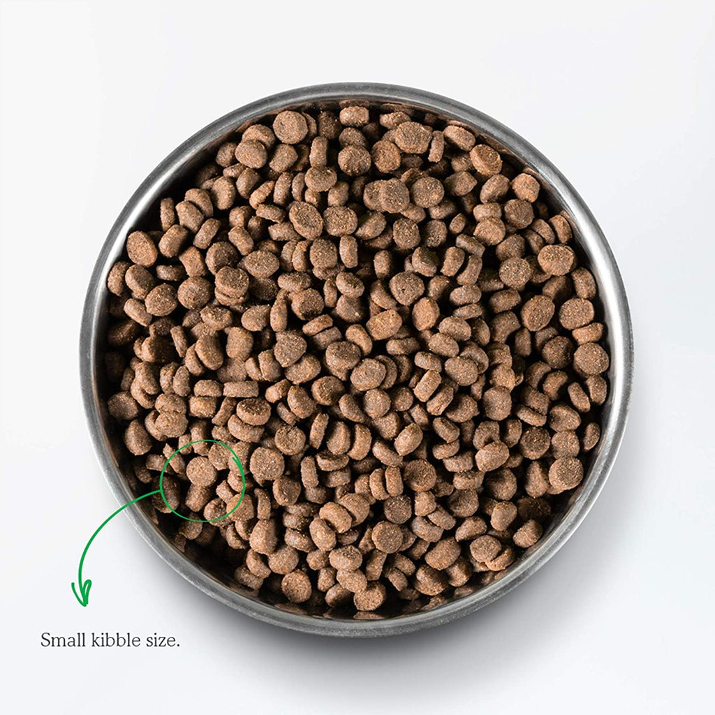 Grain Free Dry Cat Food Whitefish Kibble 2lb Bag X7628