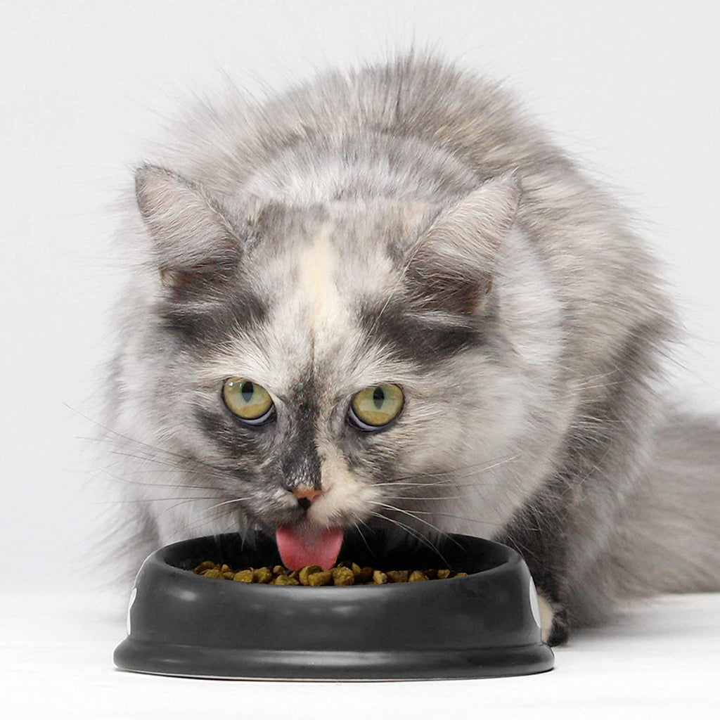Grain Free Dry Cat Food Whitefish Kibble 2lb Bag X7628