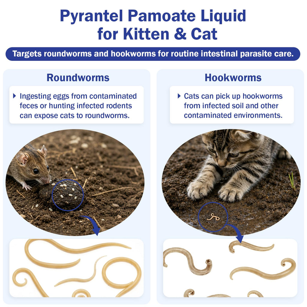Pyrantel Pamoate Oral Dewormer for Cats & Kittens J1764