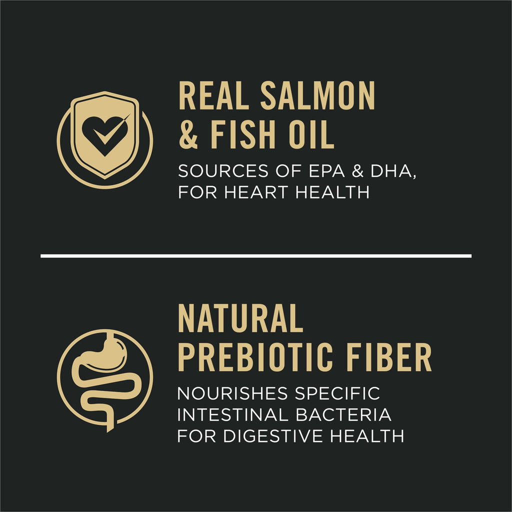 Salmon Dry Dog Food 16 lb Bag J1512