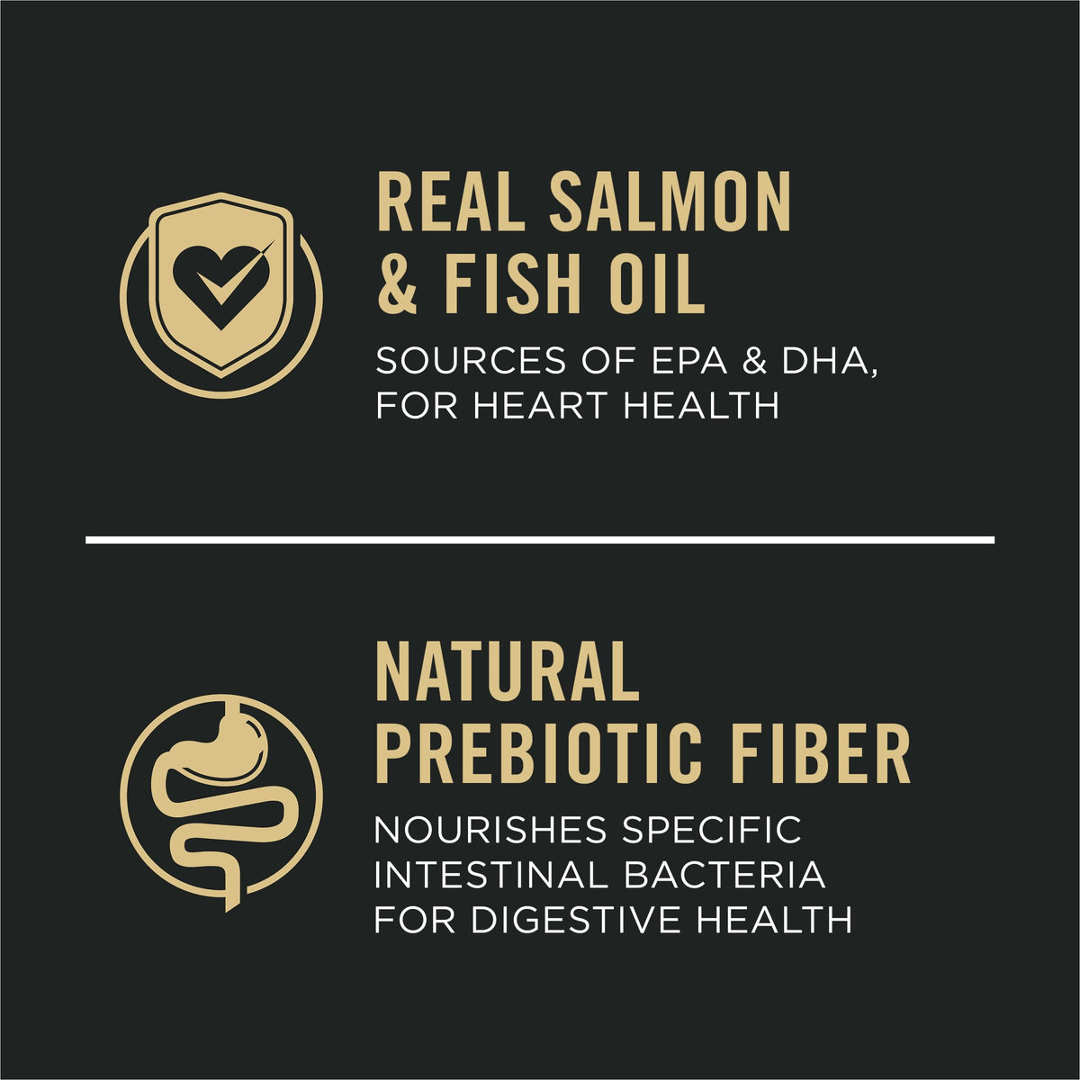 Salmon Dry Dog Food 16 lb Bag J1512
