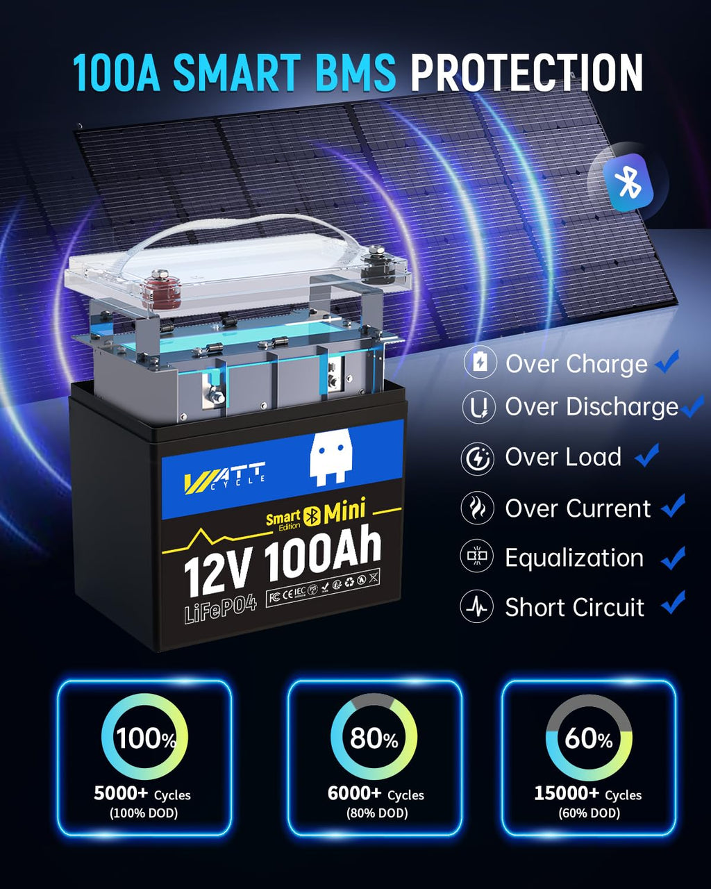 12V 100Ah Mini LiFePO4 Battery Group 24 E165724