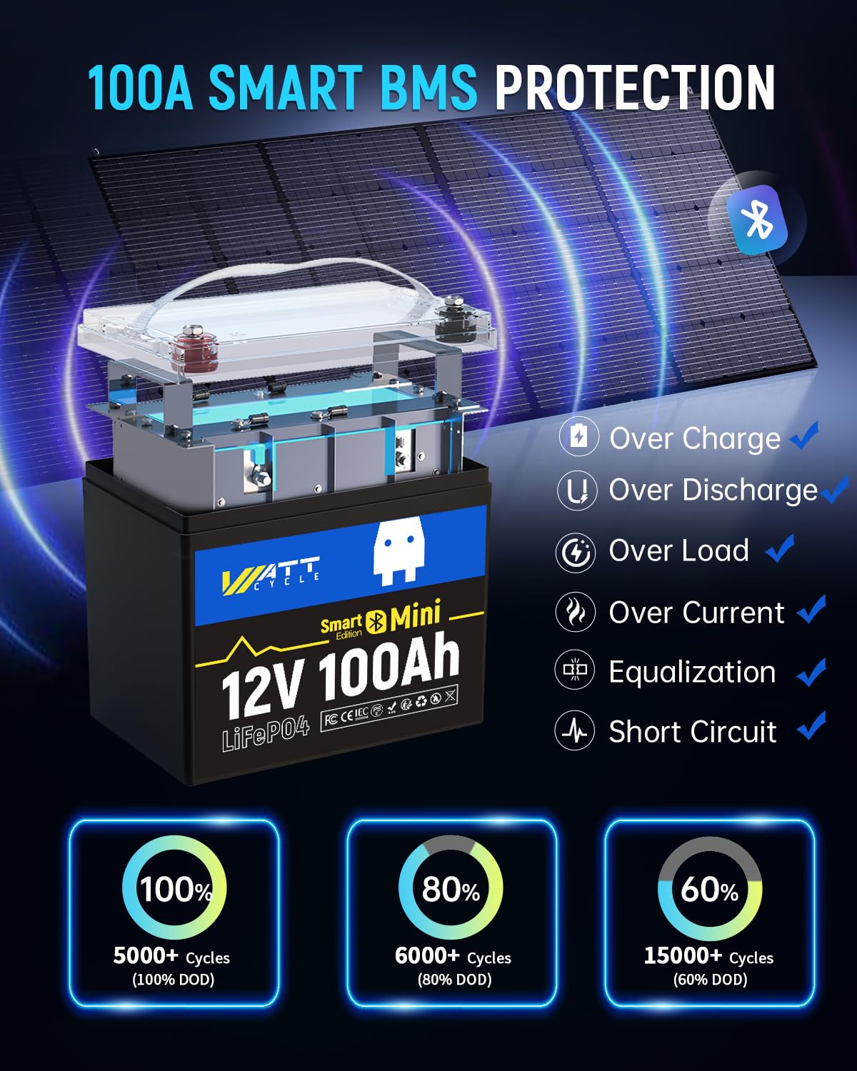 12V 100Ah Mini LiFePO4 Battery Group 24 E165724