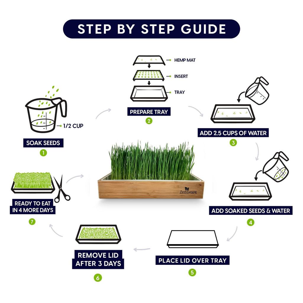 Self-Watering Cat Grass Kit and Refills, 4 Mats and 4 Seed Packets Q688605