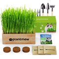 Cat Grass Kit with Seeds, Soil & Planter Pots O994451