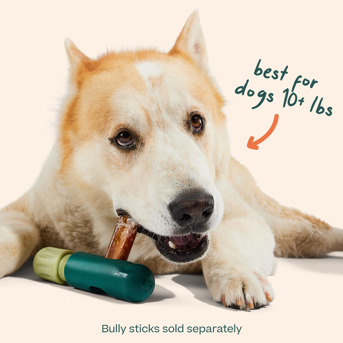Bully Stick Holder for Dogs O60956