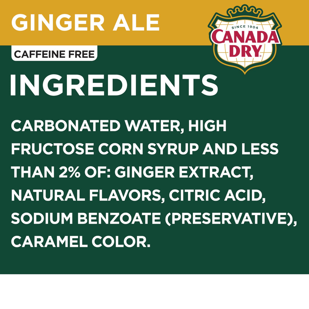 Ginger Ale Soda 12 fl oz 12 pack R79353