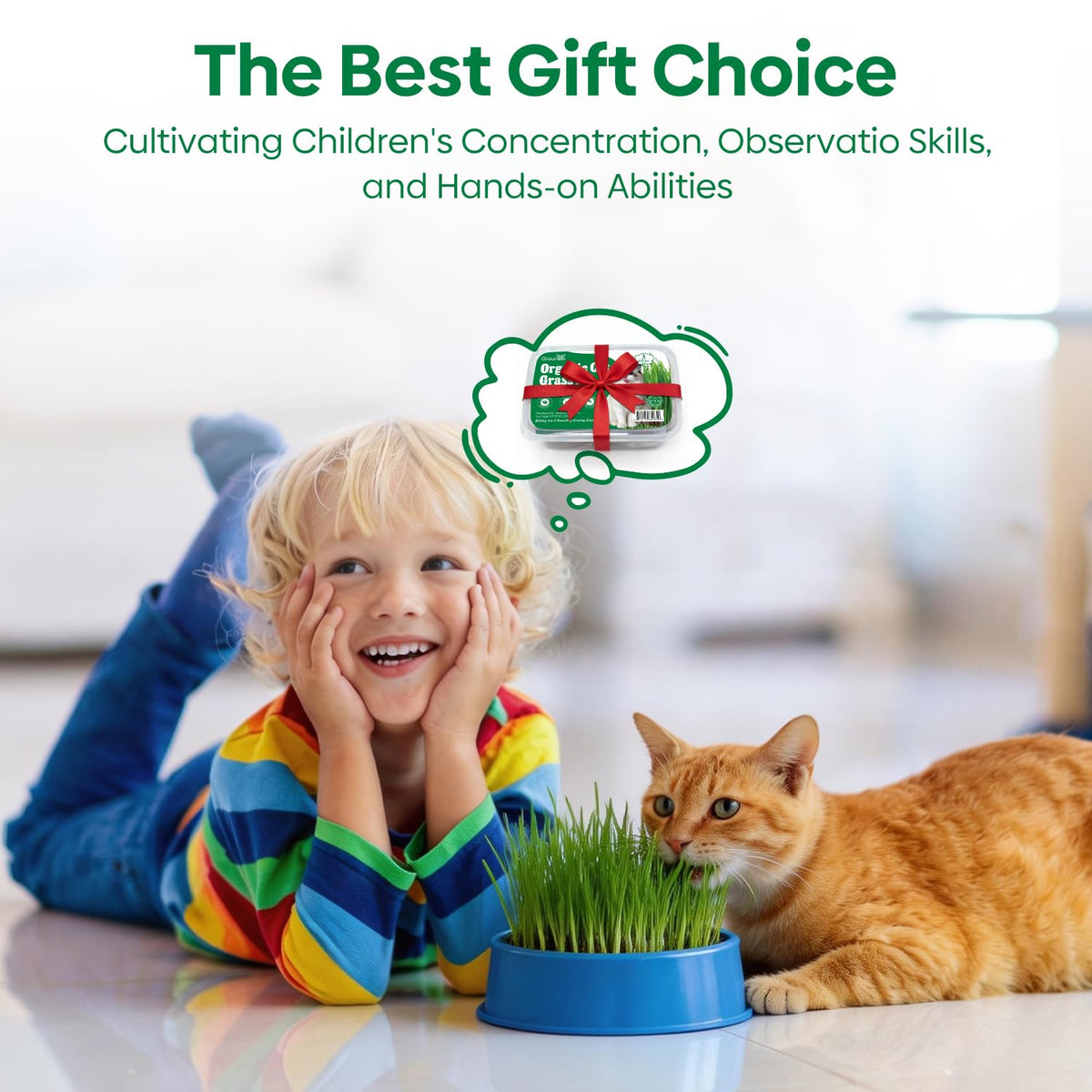 3 Pack Organic Non-GMO Cat Grass Growing Kit A5329
