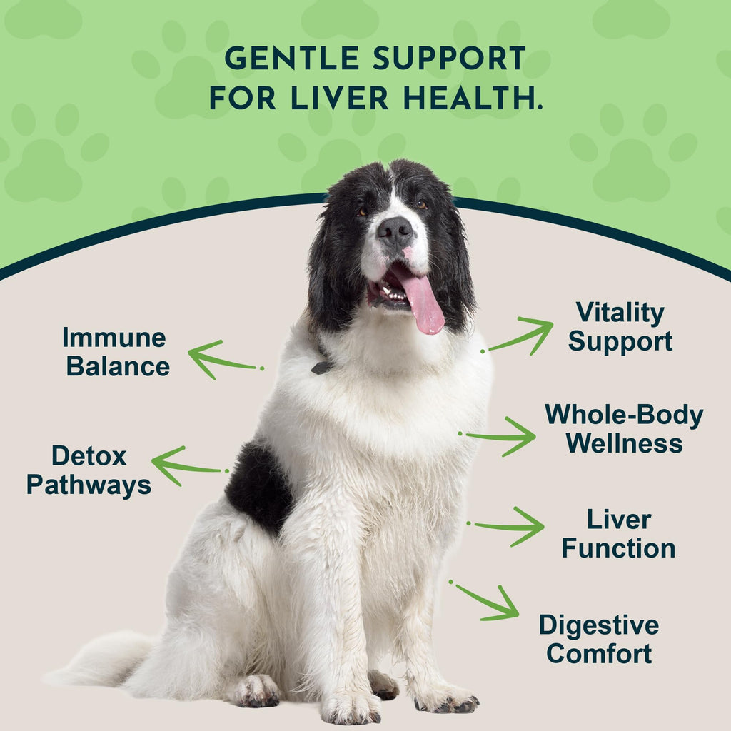 Liquid Liver Support Supplement for Dogs & Cats 2 Fl Oz Z8293