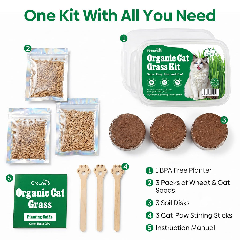 3 Pack Organic Non-GMO Cat Grass Growing Kit A5329