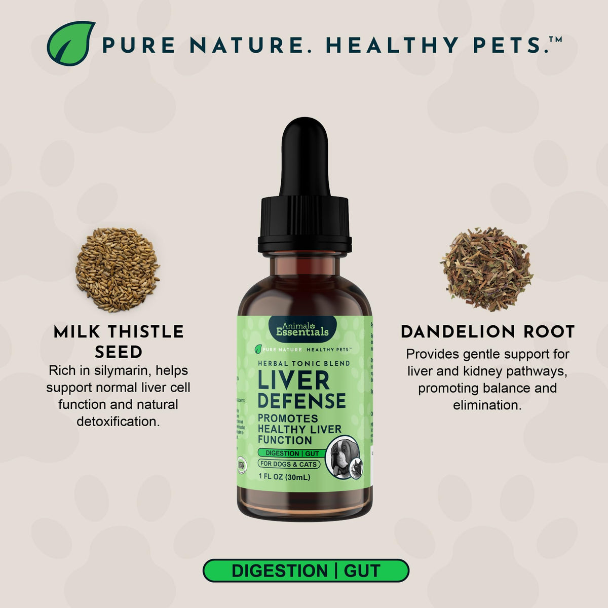 Liquid Liver Support Supplement for Dogs & Cats 2 Fl Oz Z8293