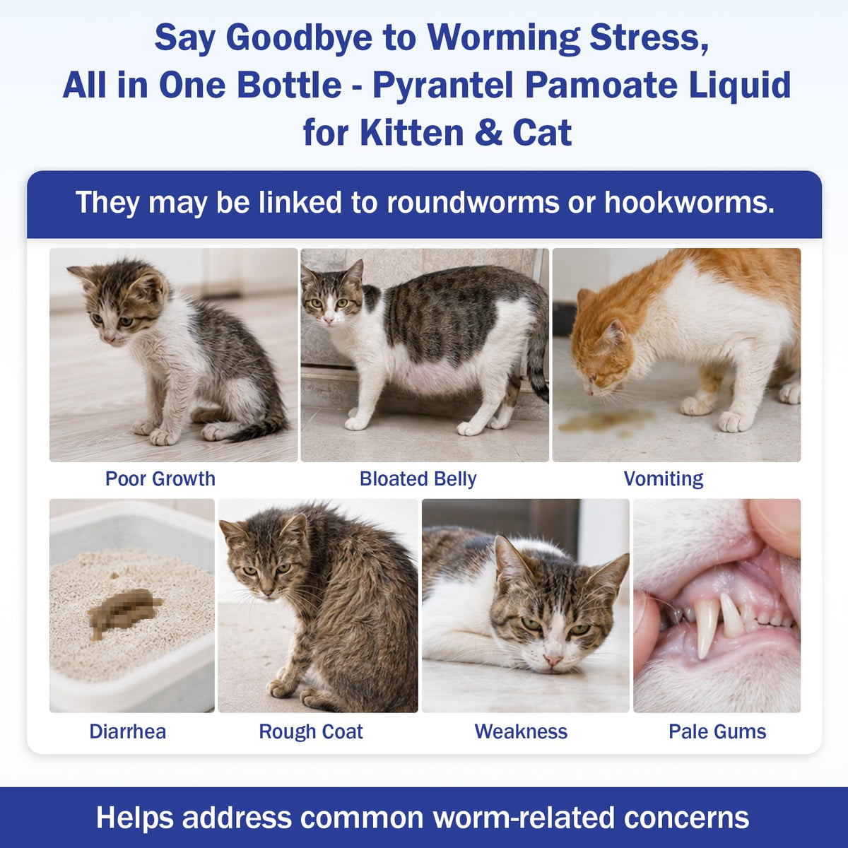 Pyrantel Pamoate Oral Dewormer for Cats & Kittens J1764