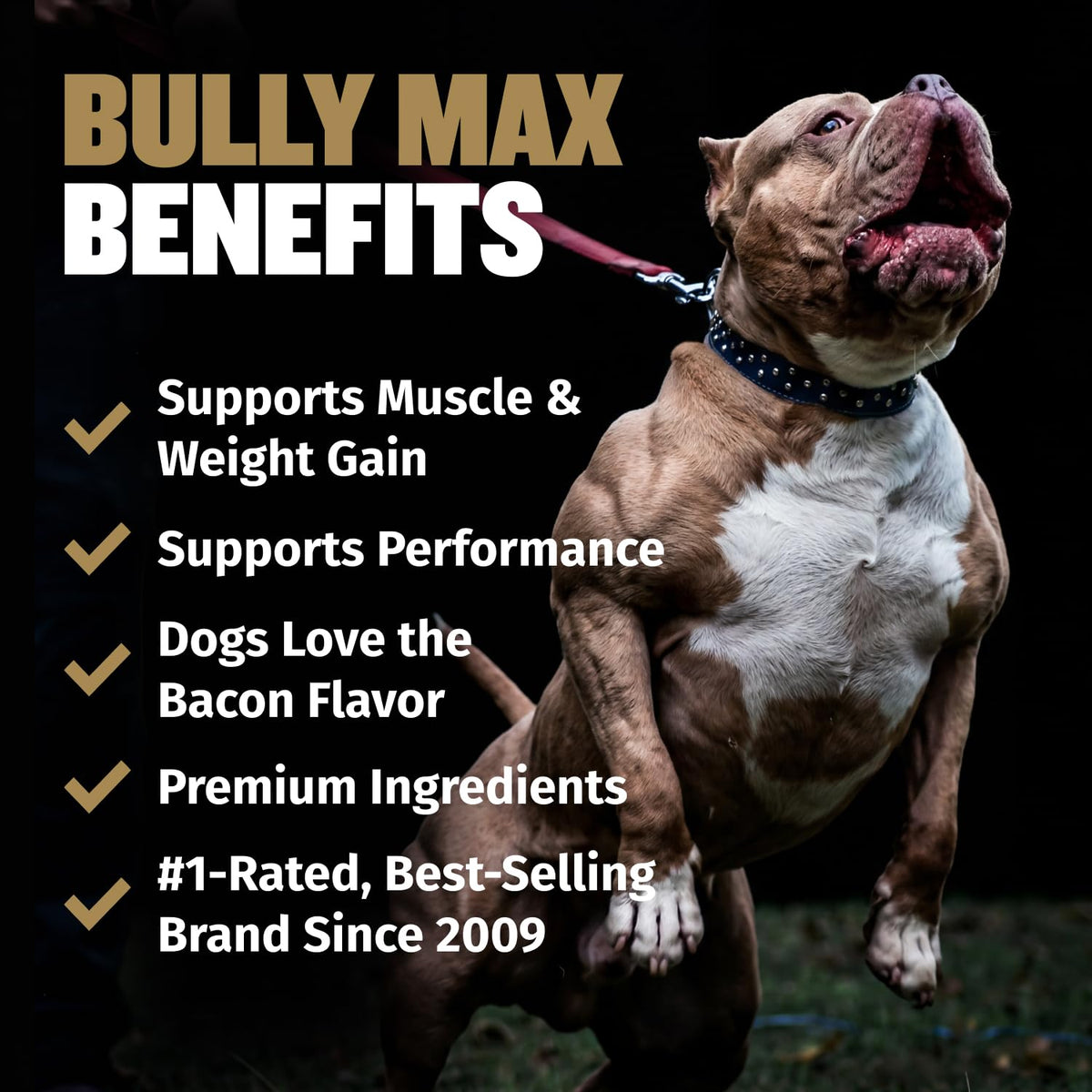 11-in-1 Dog Muscle Builder Power Chews - High Protein Supplement with Amino Acids - 75 Soft Chews H3774