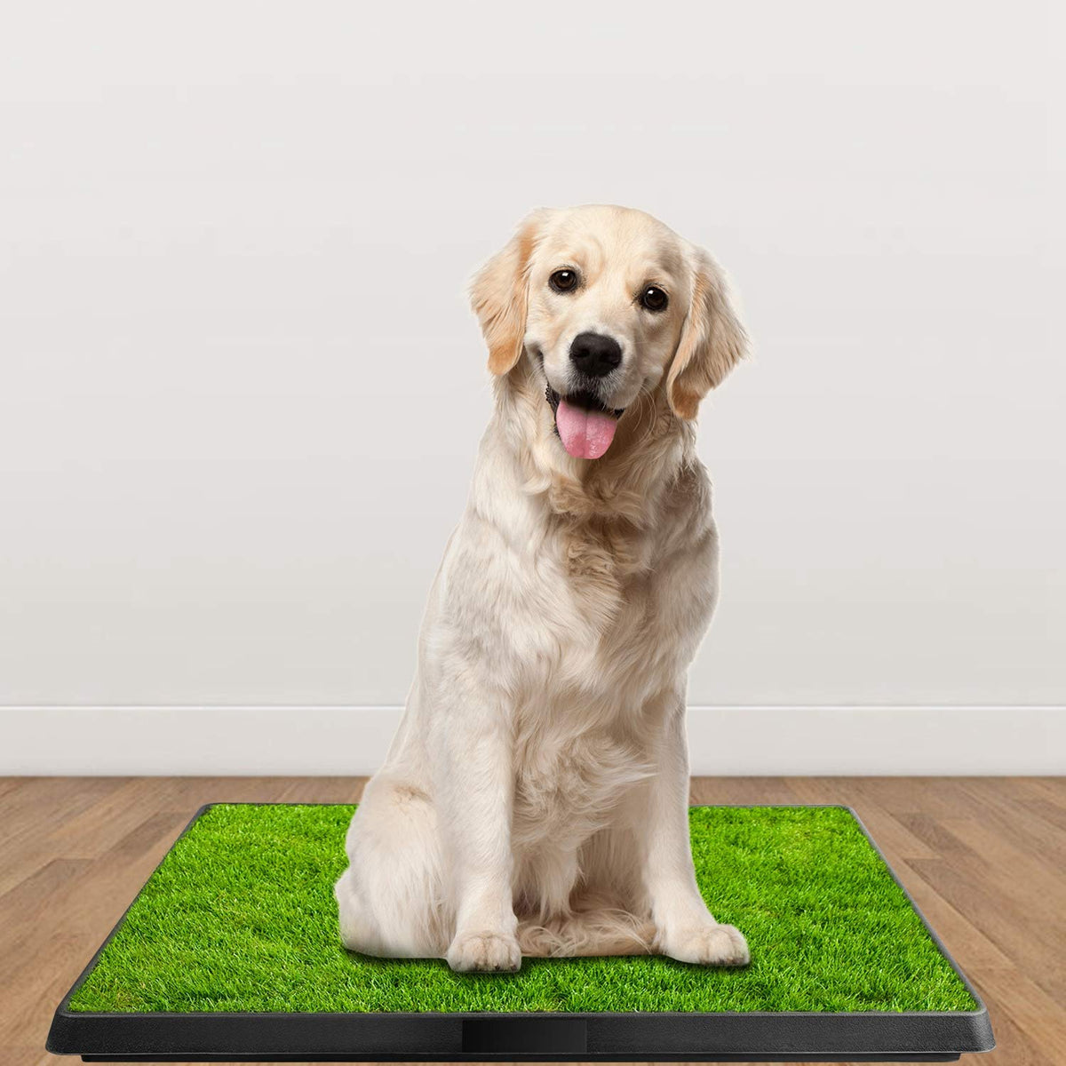 Indoor Dog Toilet with Artificial Grass 25" x 20" S543838