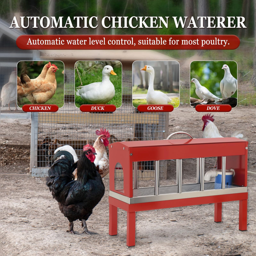 Automatic Stainless Steel Poultry Waterer Dispenser N3473