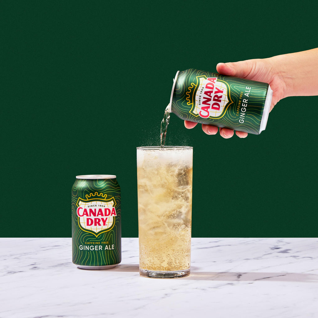 Ginger Ale Soda 12 fl oz 12 pack R79353