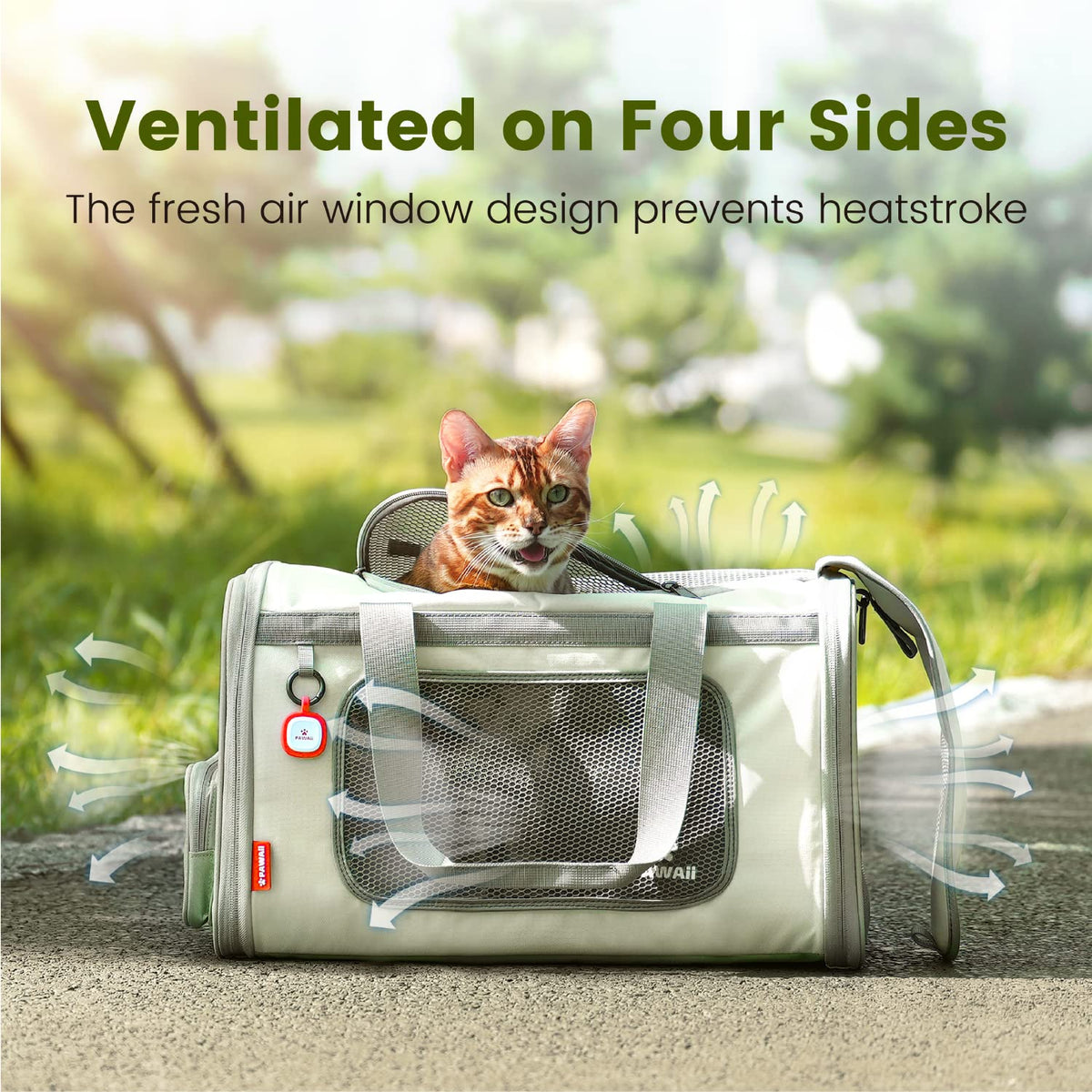 Airline Approved Expandable Cat Carrier U756481
