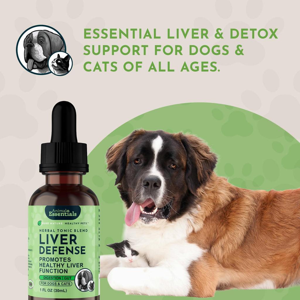 Liquid Liver Support Supplement for Dogs & Cats 2 Fl Oz Z8293