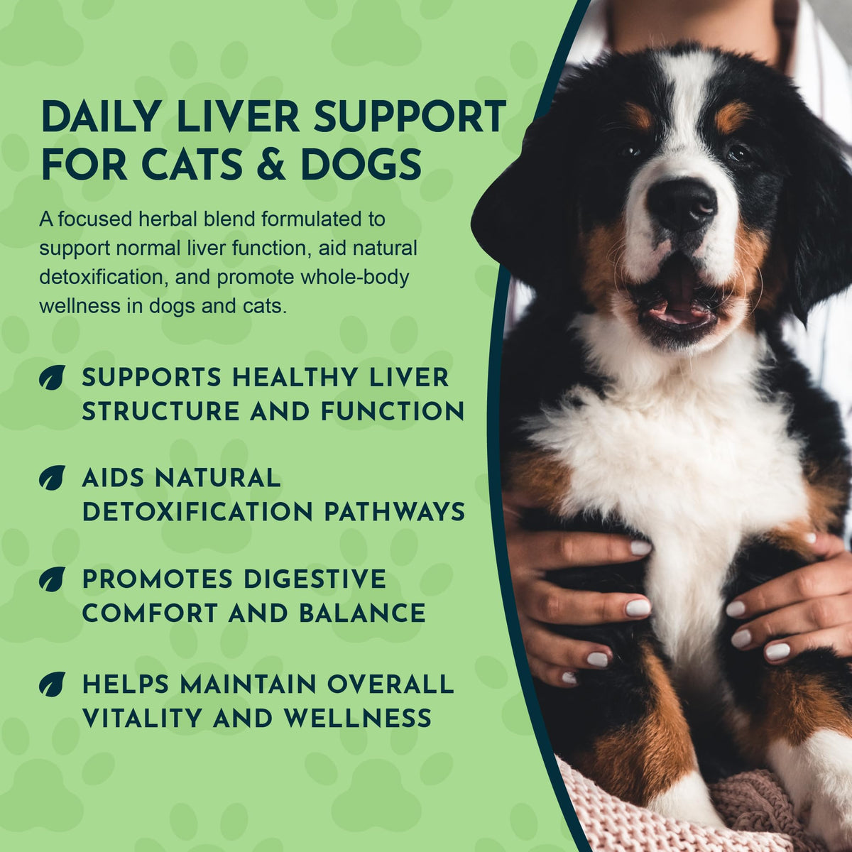 Liquid Liver Support Supplement for Dogs & Cats 2 Fl Oz Z8293