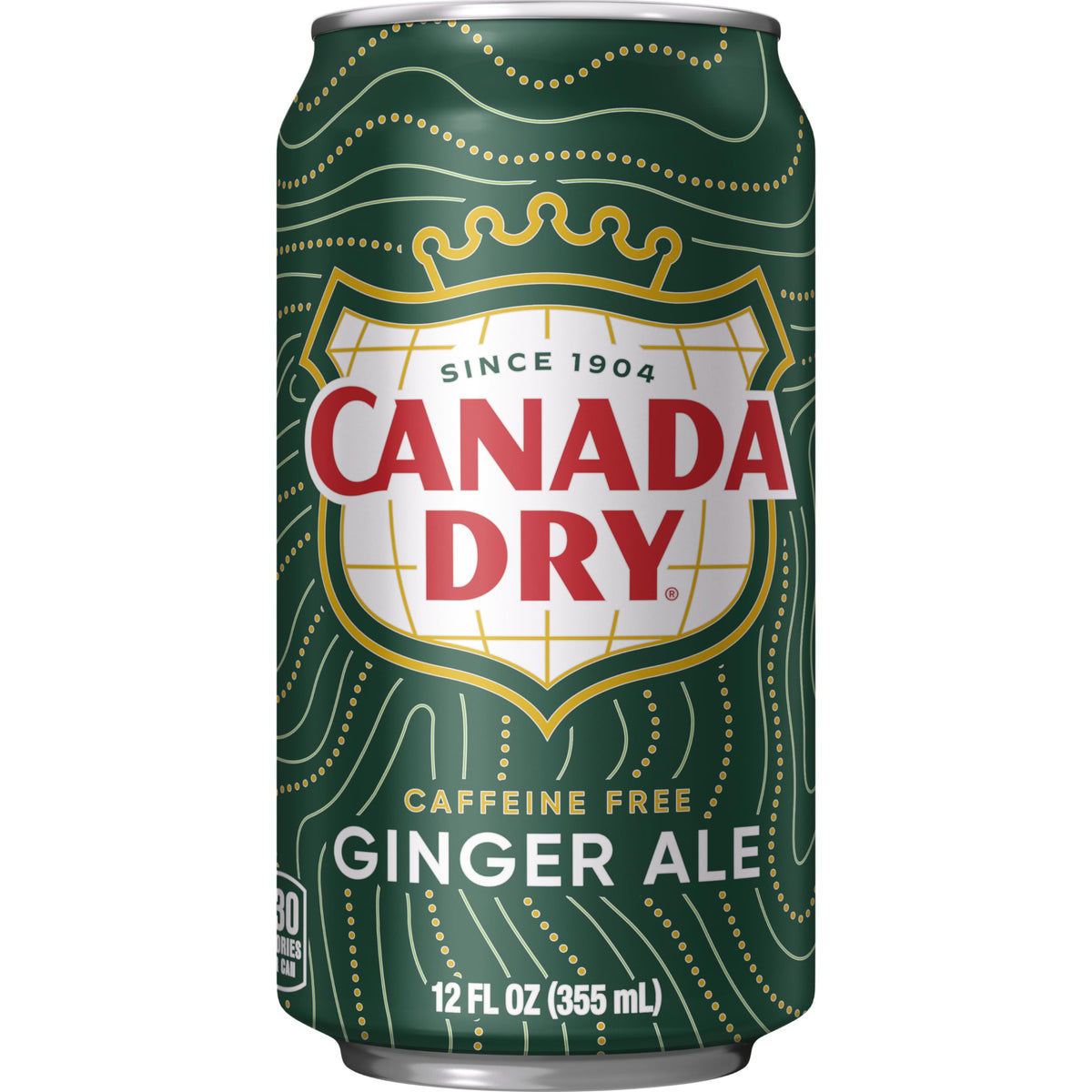 Ginger Ale Soda 12 fl oz 12 pack R79353
