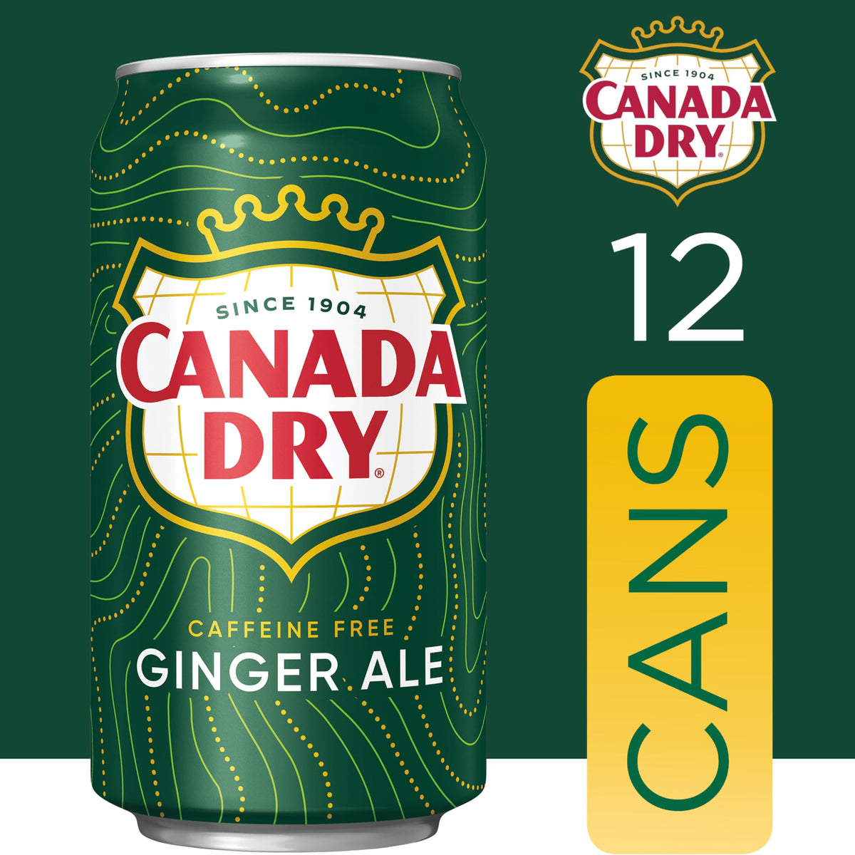Ginger Ale Soda 12 fl oz 12 pack R79353
