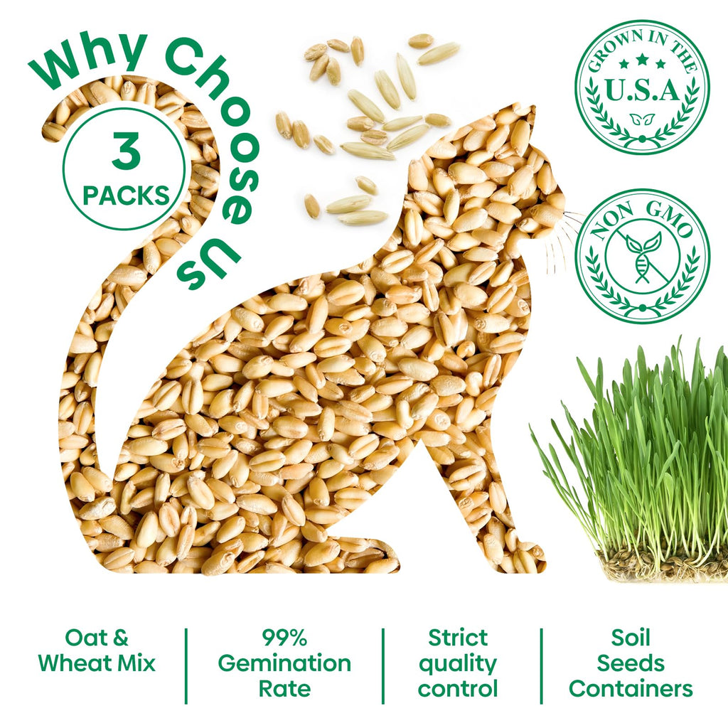 3 Pack Organic Non-GMO Cat Grass Growing Kit A5329