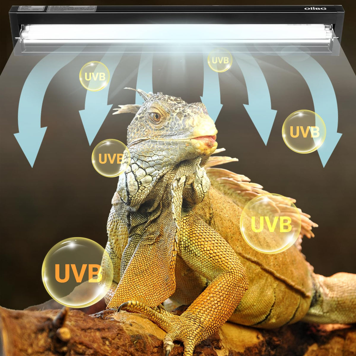 24W UVB 10.0 Reptile Light Fixture Combo Kit V8179