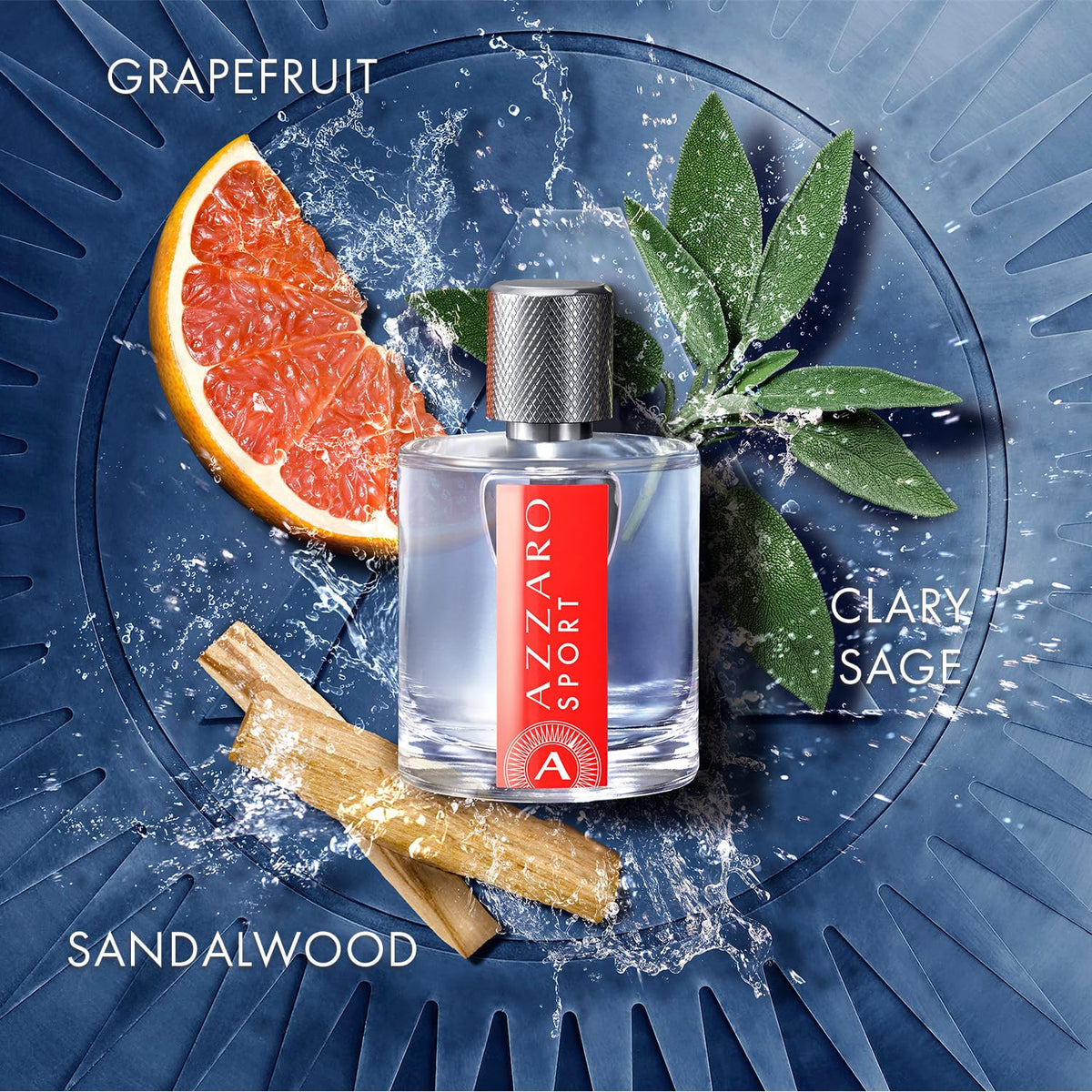 Eau de Toilette Citrus Aromatic Woody Fragrance 3.4 Fl Oz C102
