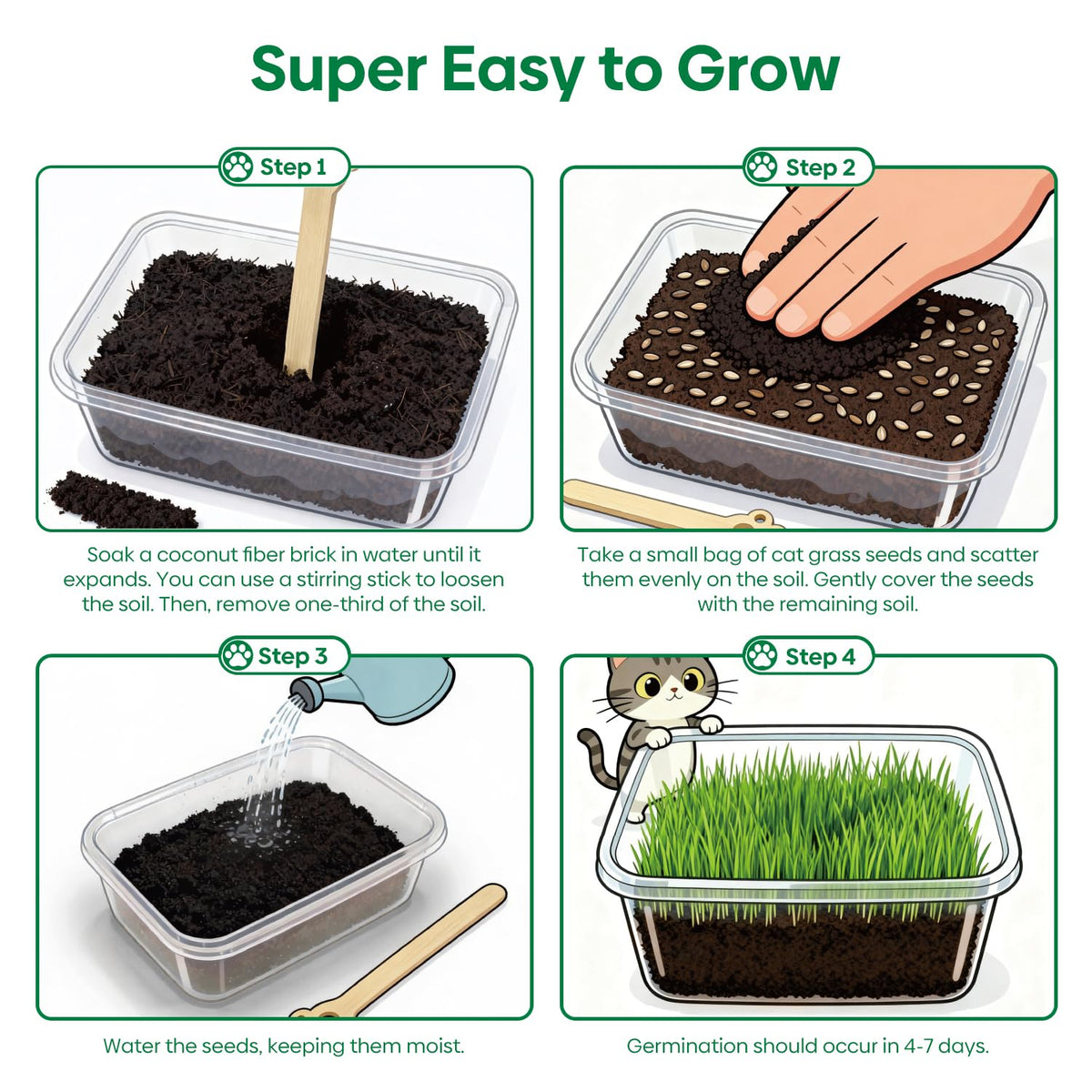 3 Pack Organic Non-GMO Cat Grass Growing Kit A5329