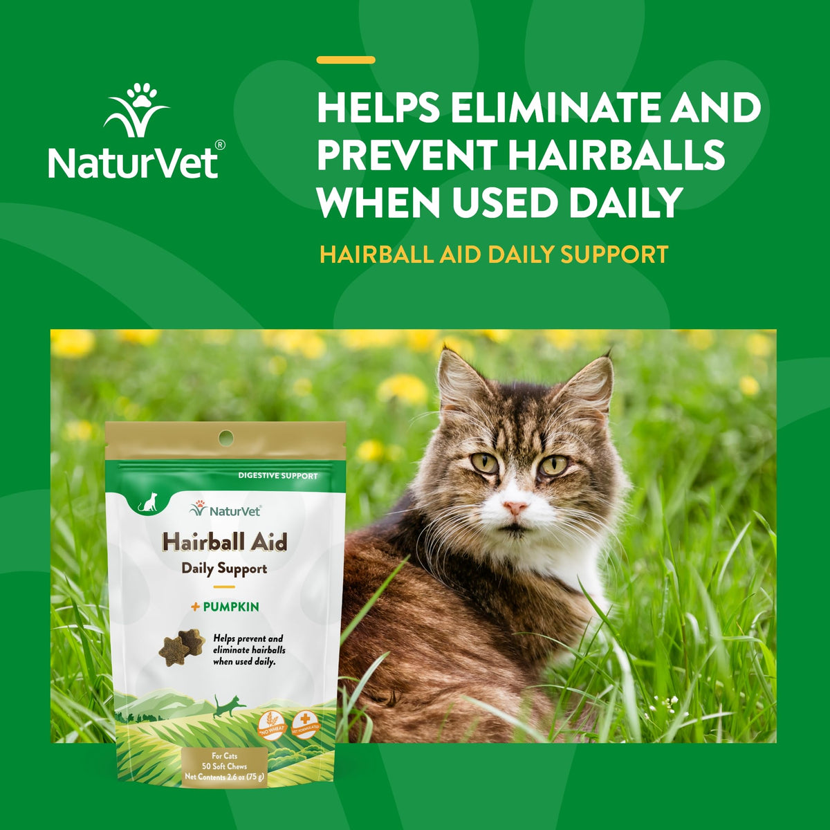 Hairball Remedy Digestive Aid Supplement 50 Soft Chews Y926