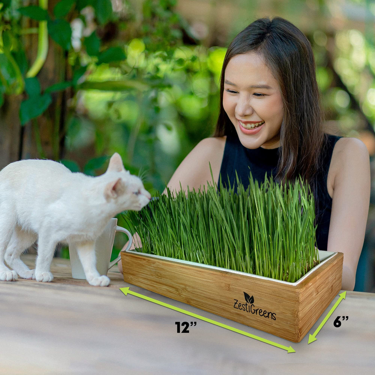 Self-Watering Cat Grass Kit and Refills, 4 Mats and 4 Seed Packets Q688605