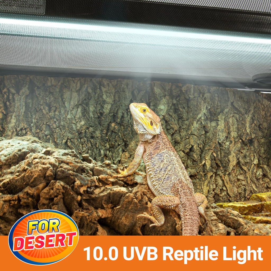 24W UVB 10.0 Reptile Light Fixture Combo Kit V8179