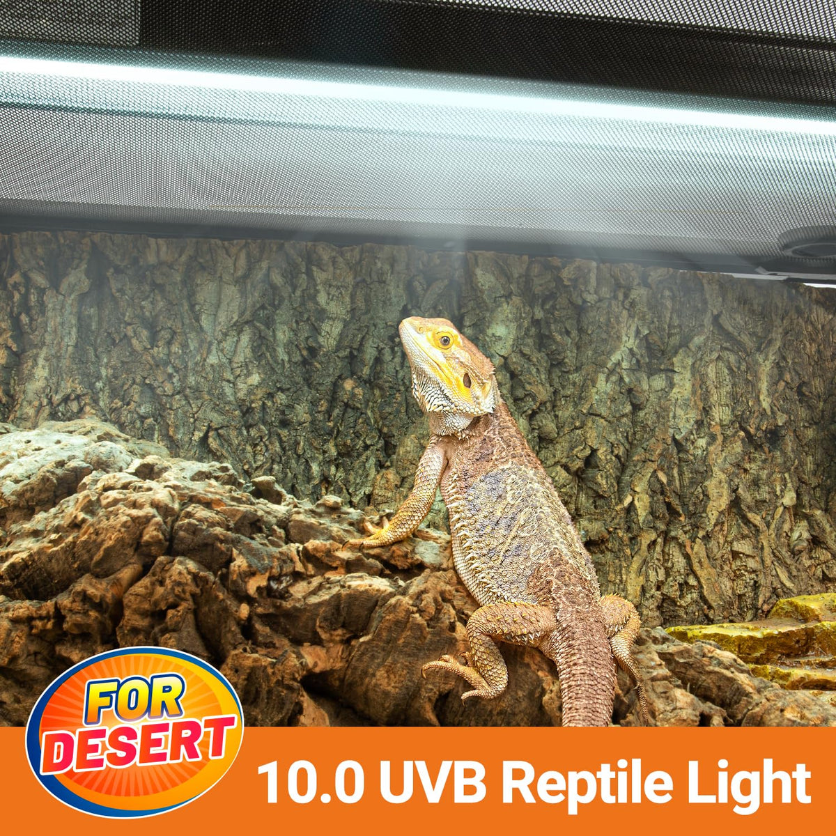 24W UVB 10.0 Reptile Light Fixture Combo Kit V8179