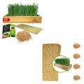 Self-Watering Cat Grass Kit and Refills, 4 Mats and 4 Seed Packets Q688605