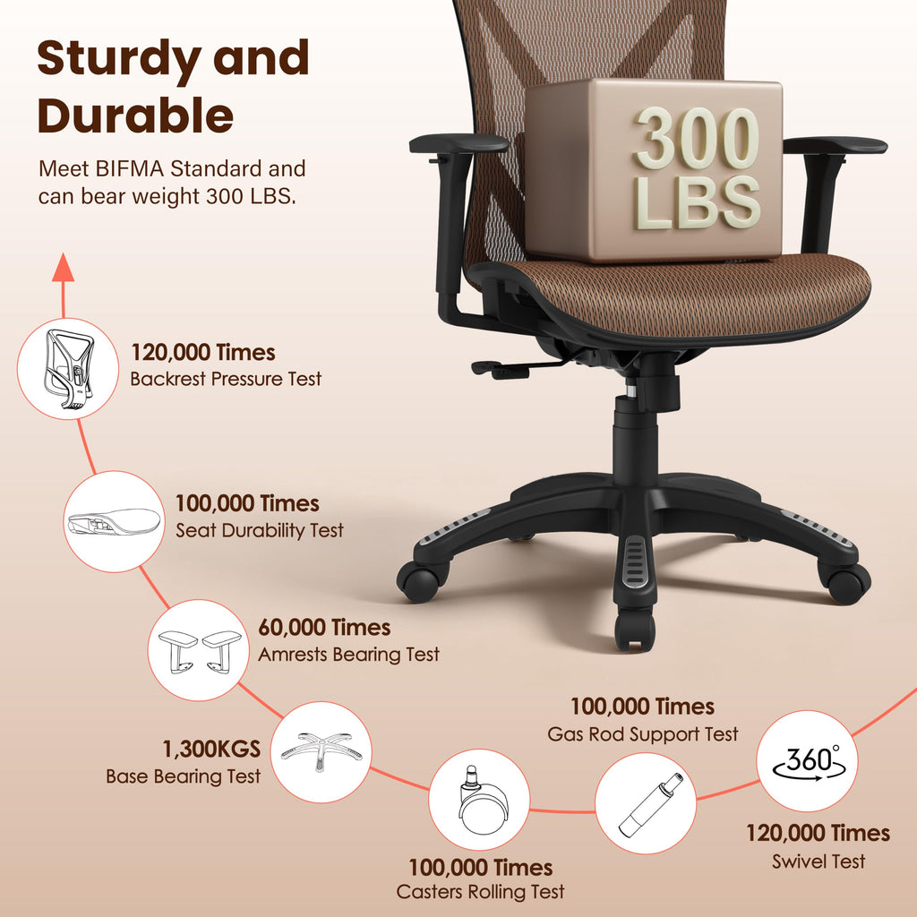 Ergonomic Mesh Office Chair with Adjustable Lumbar Support E2127