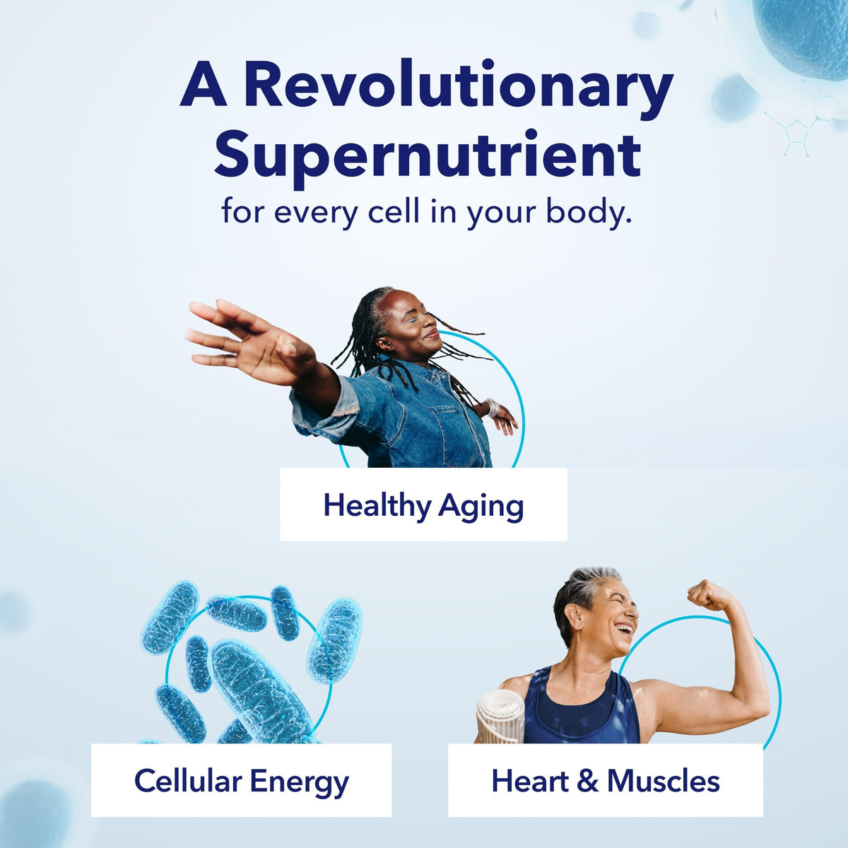 NAD+ Supplement Nicotinamide Riboside 300mg K989