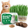 3 Pack Organic Non-GMO Cat Grass Growing Kit A5329