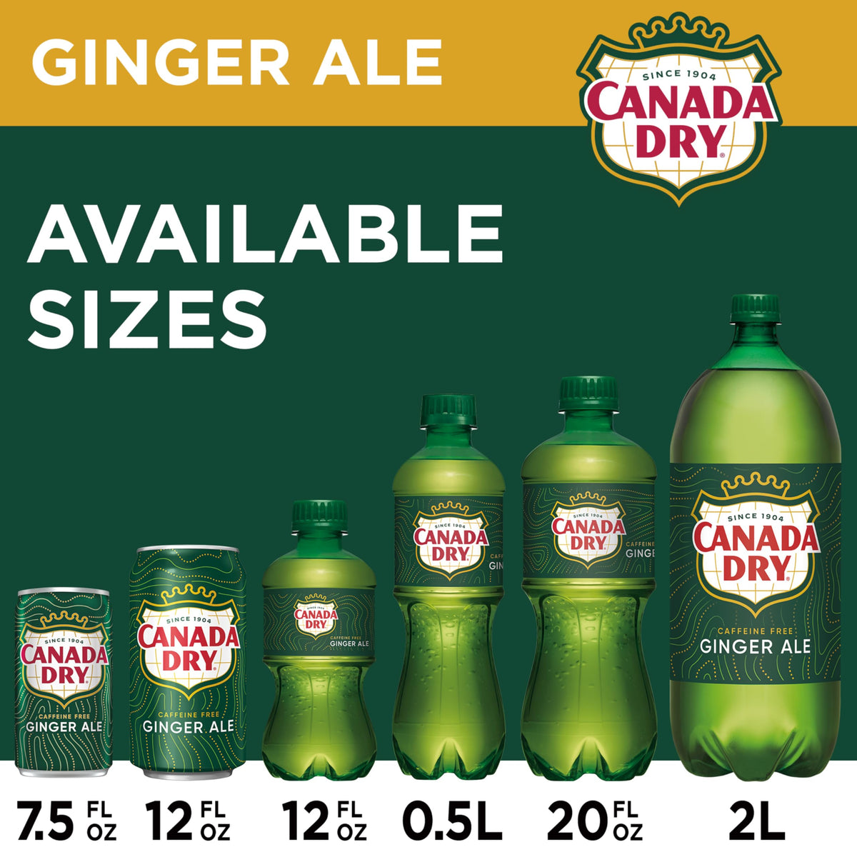 Ginger Ale Soda 12 fl oz 12 pack R79353